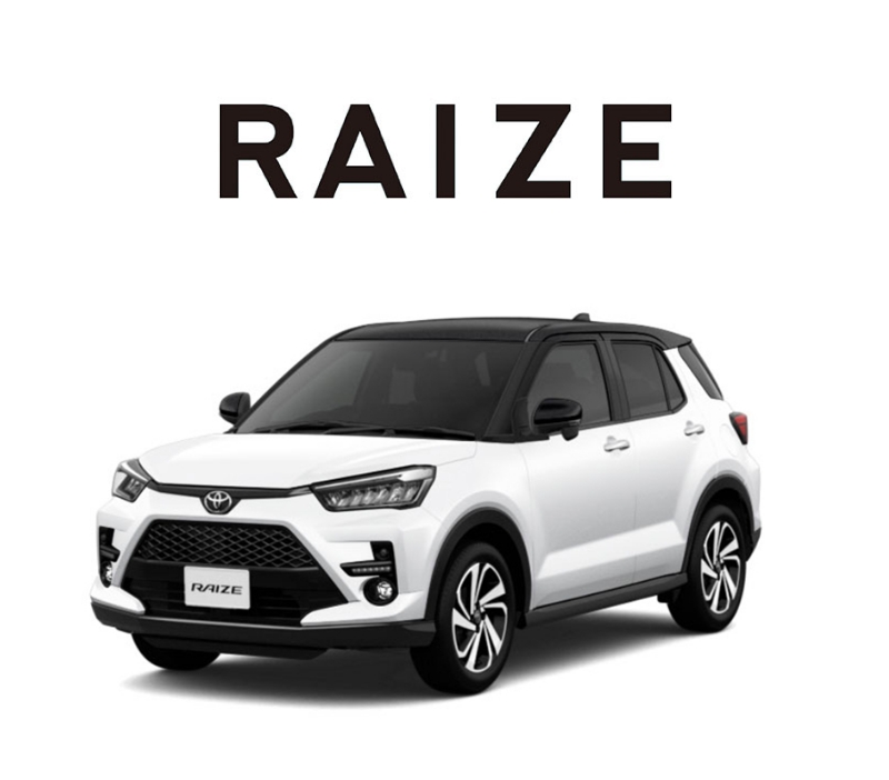 RAIZE